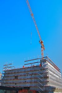 1170115_crane.jpg