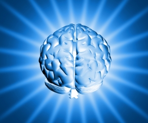 1254880_shiny_brain_.jpg