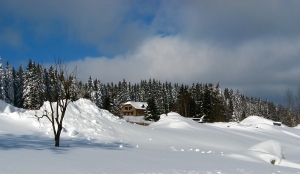 1329065_winter_landscape.jpg