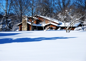 1402289_chalet_in_snow_and_woods.jpg