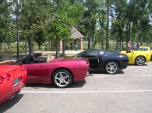 corvettes-778445-m.jpg