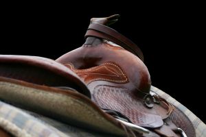 western-saddle-941483-m.jpg