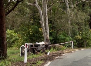 Car-Crash-Tree-300x218