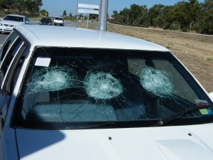 Wareham Turkey Windshield Accident