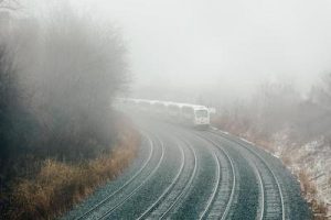 Springfield train crossing fatality