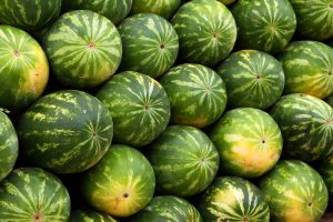 Watermelon-300x200