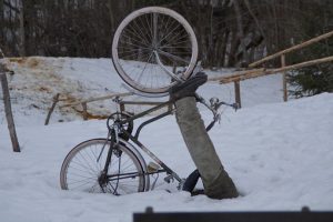 Bicycle Accident on Hardwick Street